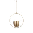 Dexter Bloempot Hangend - L34 x B14 x H65 cm - Goud