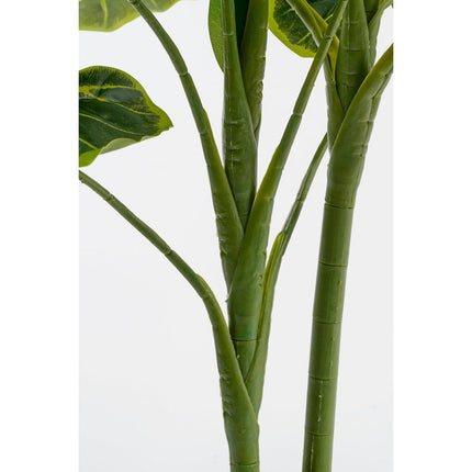 Alocasia Kunstplant in Bloempot - ↑ 100 cm - Groen