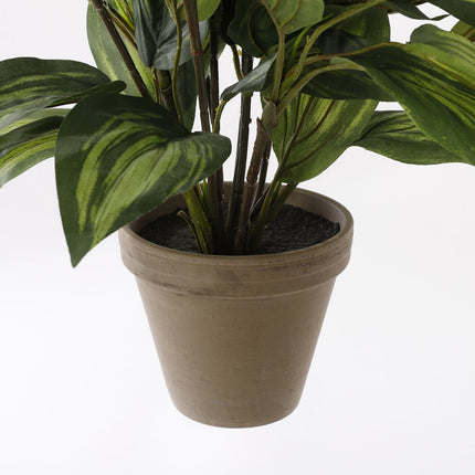 Hosta Kunstplant in Bloempot Stan - H65 x Ø40 cm - Groen