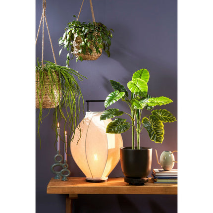 Alocasia Kunstplant in Bloempot - ↑ 100 cm - Groen