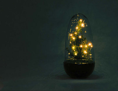 Aftellen naar kerst 2025...