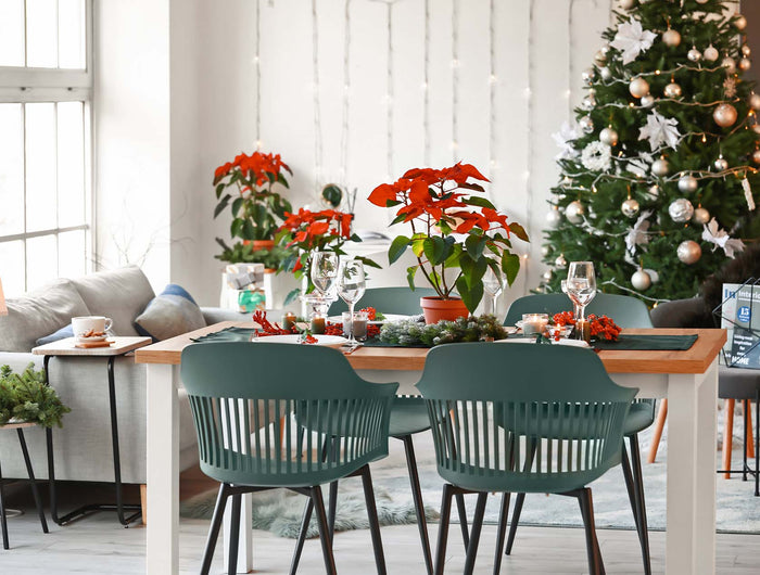 Kerstspullen kopen?