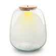 Terrarium fles ‘Emma' - Incl. LED-kurk - Gesloten terrarium Ø 23 cm ↑ 25 cm