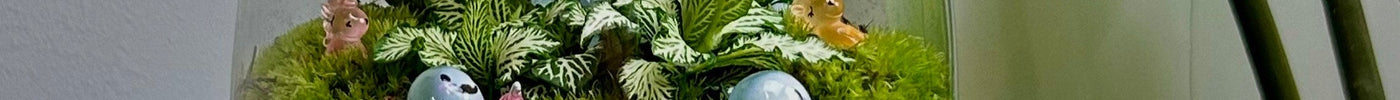 Maak samen een mini-jungle: zomerproject voor thuis