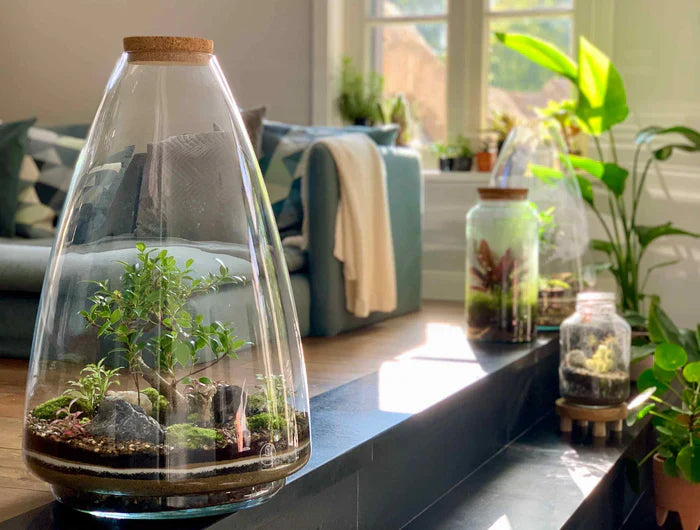 Terrarium verzorging in de vakantie en hitte