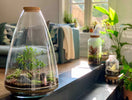 Terrarium verzorging in de vakantie en hitte