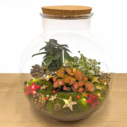 Collection image for: Kerstcadeaus