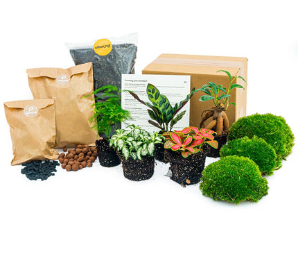 Collection image for: Start- en navulpakketten