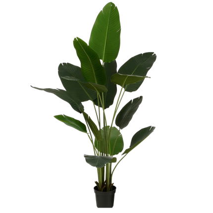 Kunstplant Bananenboom in Pot - H180 x Ø30 cm - Groen