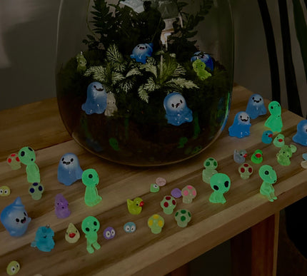 Emma Mini KIDS - DIY kit - Planten terrarium - ↑ 20 cm - Ø 19 cm