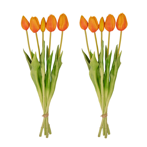 Vaas Jessie Strik + 10x real touch Tulp Orange