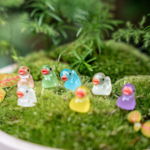 Glow in the dark - Ducks - Multi - ↑ 2 cm - 7 stuks