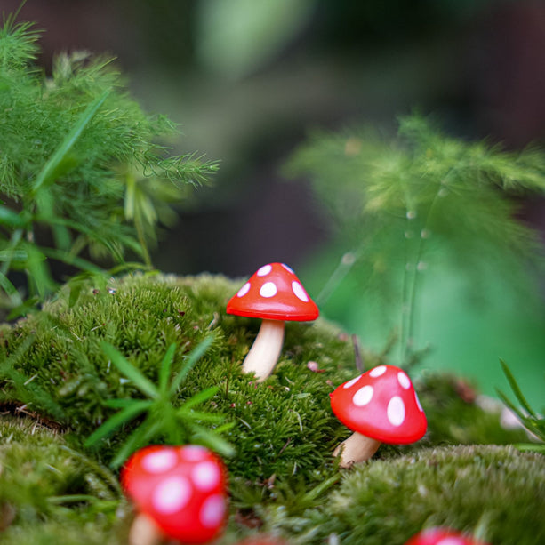 Paddenpad - Decoratieve mini paddenstoelen - Rood - 10 stuks - ↑ 2 cm