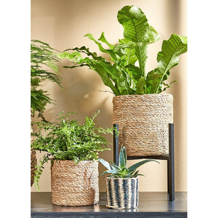 Atlantic Mand voor Planten - Set van 2 - H26 x Ø30 cm - Lichtbruin