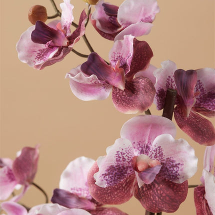 Orchidee Vanda Oudroze - Kunstplant in zwarte pot - 60 cm