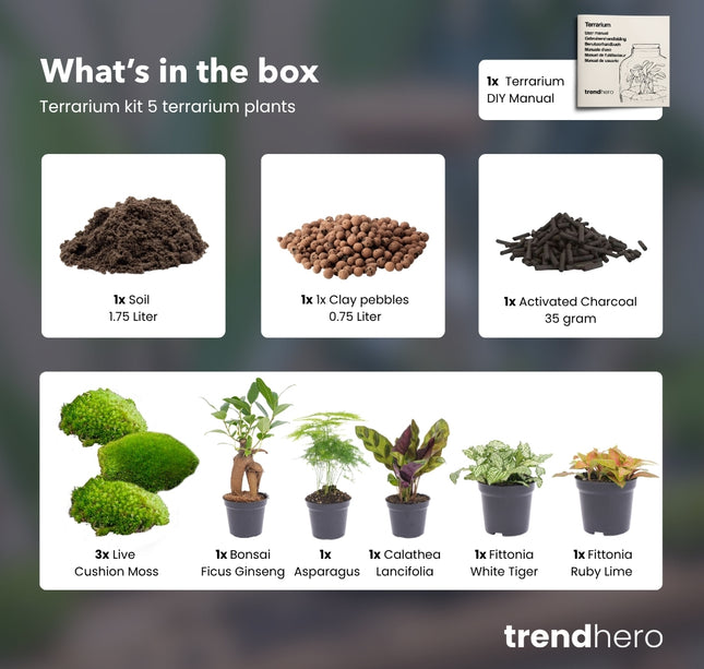 5 planten - Terrarium Start- & navulpakket - 3 terrarium planten - DIY