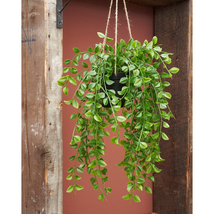 Ficus Kunst Hangplant - H81 cm - Groen