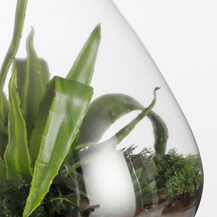 Emily Terrarium of Voorraadpot - H24,5 x Ø22,5 cm - Gerecycled Glas - Transparant