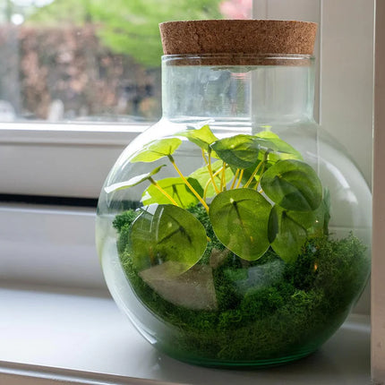 Kunstplanten terrarium met rendiermos- Silk Noah - ↑ 20 cm