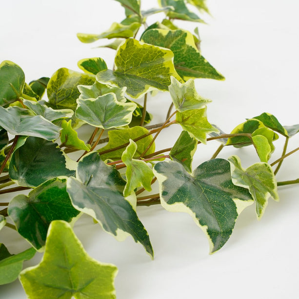 Hedera Kunst Hangplant - H71 cm - Groen Bont