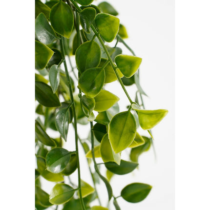 Ficus Kunst Hangplant in Pot - H46 x Ø20 cm - Groen