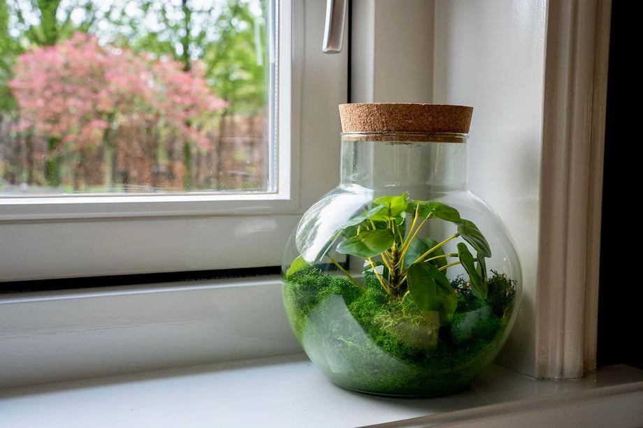 Kunstplanten terrarium met rendiermos- Silk Noah - ↑ 20 cm