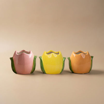 Paas plantenpot set - Tulp potjes met mini planten - Set van 3