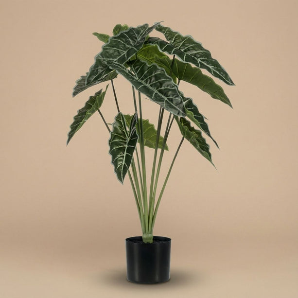 Alocasia Kunstplant in zwarte pot - 80 cm