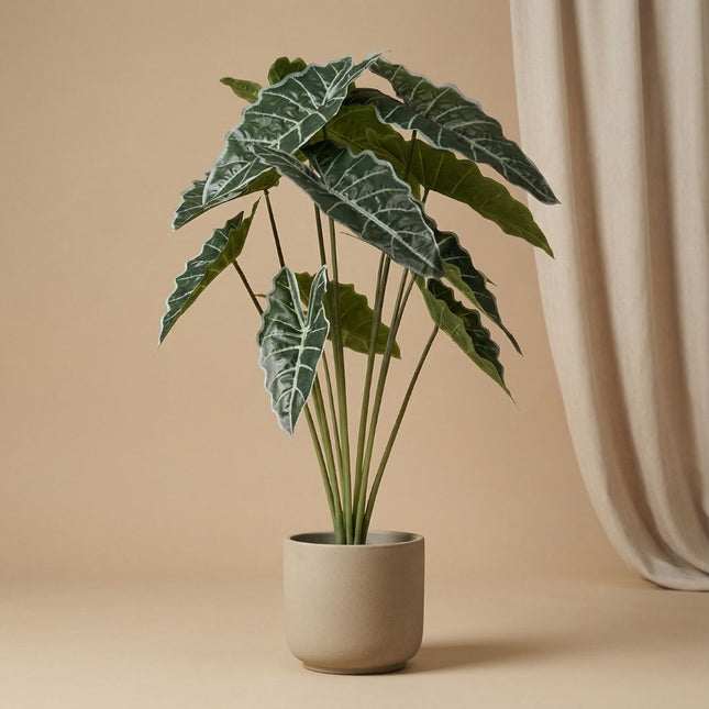 Bellatio flowers & plants Kunstplant - ficus succelent - 80 cm | Leen Bellatio flowers & plants Kunstplant - ficus succelent - 80 cm | Leen