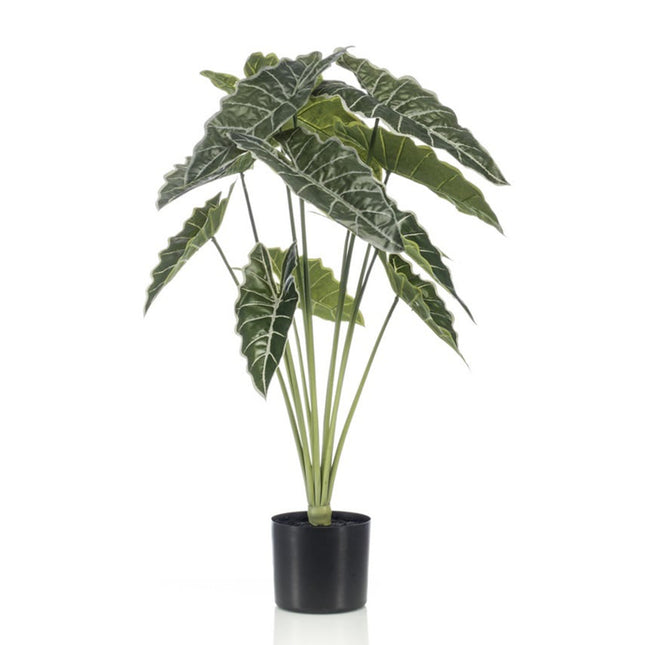 Alocasia - 80 cm hoog - Kunstplant
