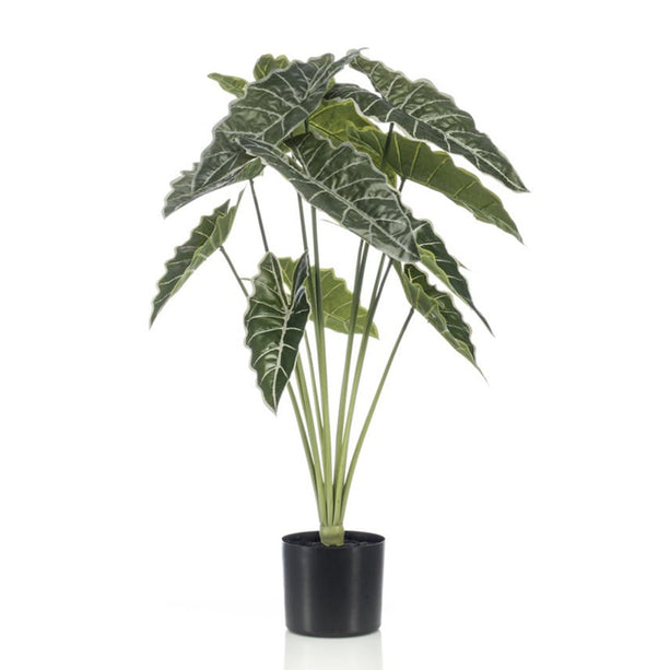Alocasia - 80 cm hoog - Kunstplant