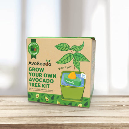 Avocado kit - Groei je eigen avocado!