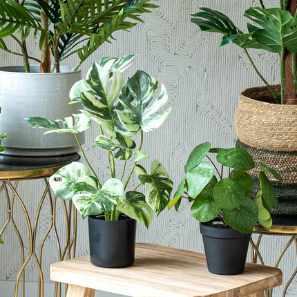 Urban jungle L - 5 stuks - Bundelproduct - Kunstplanten