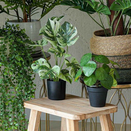 Urban jungle XL - 6 stuks - Bundelproduct - Kunstplanten