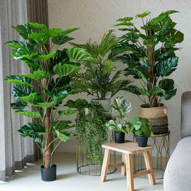Urban jungle XL - 6 stuks - Bundelproduct - Kunstplanten