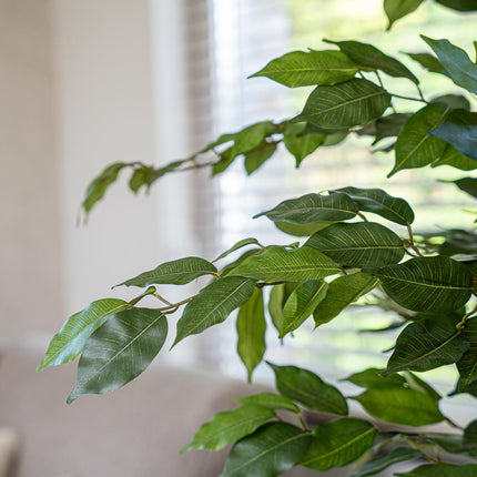 Ficus Deluxe set - 2 stuks - Bundelproduct - Kunstplanten