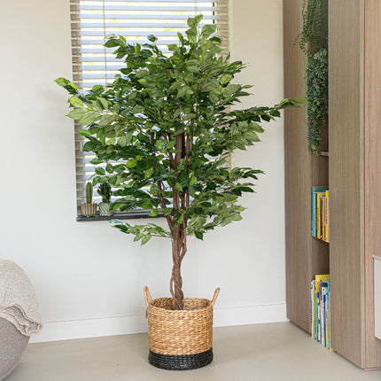 Ficus Deluxe set - 2 stuks - Bundelproduct - Kunstplanten