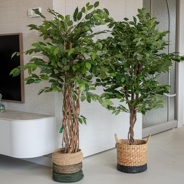 Ficus Deluxe set - 2 stuks - Bundelproduct - Kunstplanten