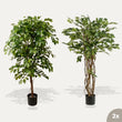 Ficus Deluxe set - 2 stuks - Bundelproduct - Kunstplanten