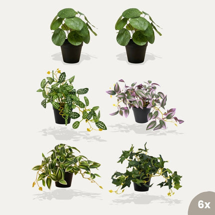 Mini planten XL - 6 stuks - Bundelproduct - Kunstplanten