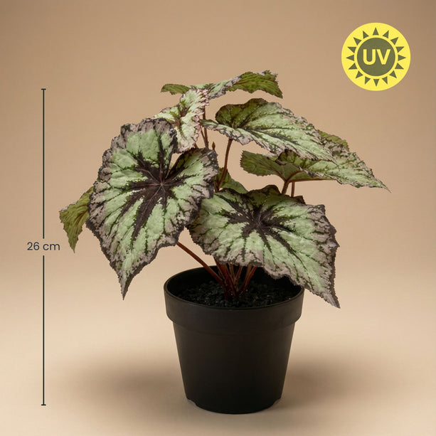 Begonia – Kunstplant in zwarte pot - Voor binnen & buiten – UV-bestendig - 26 cm