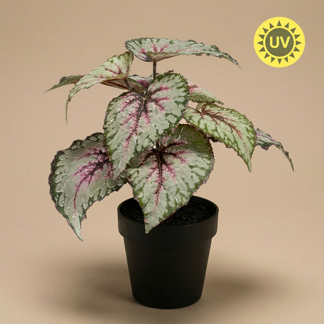 Begonia met grijs-paarse bladeren - Kunstplant in zwarte pot - Voor binnen & buiten - UV-bestendig - 26 cm