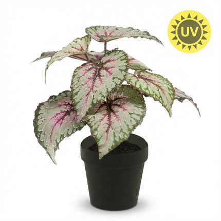 Begonia met grijs-paarse bladeren - Kunstplant in zwarte pot - Voor binnen & buiten - UV-bestendig - 26 cm