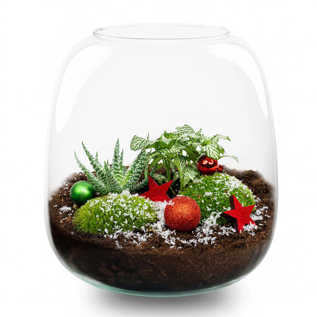 Kerst terrarium 'Berry' - DIY planten terrarium - Ø 19 cm ↑ 20 cm