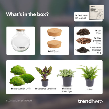 Bolder Bob - DIY Planten terrarium -  Ecosysteem plant - Ø 31 cm ↑ 30 cm