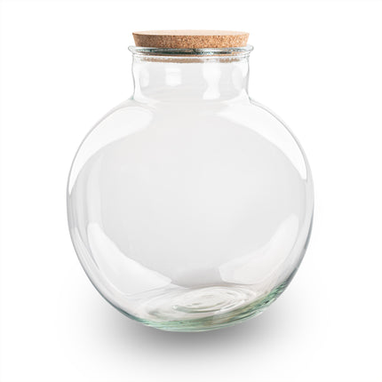 Terrarium fles 'Bolder Bob' - Incl. (LED) kurk - Gesloten terrarium Ø 30 cm ↑ 31 cm