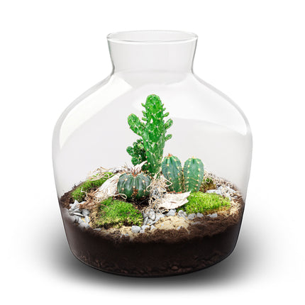 Cactus Terrarium Fat Joe -  Cactus in vaas