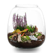 Winter Terrarium 'Cosy' - DIY planten terrarium - Ø 23 cm ↑ 25 cm