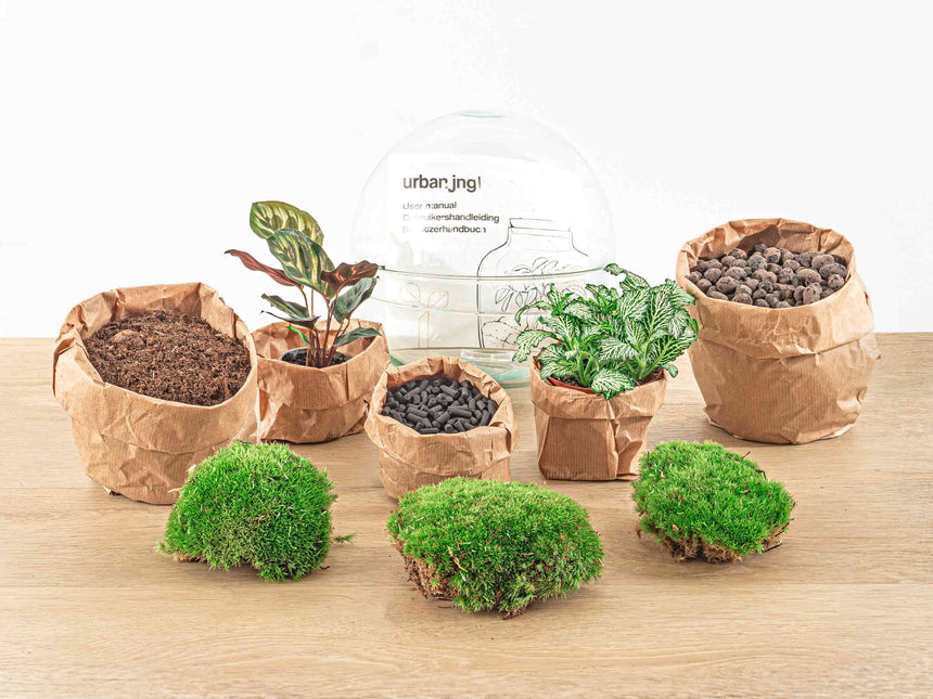 Planten terrarium - DIY - Dome - Ecosysteem plant - ↑ 20 cm