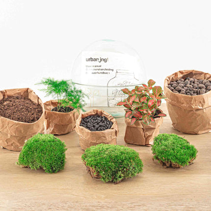 Planten terrarium - DIY - Dome Rood - Ecosysteem plant - ↑ 20 cm